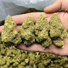 🇬🇧UK Grown Strains🇬🇧💨💨